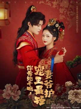 你惹她干嘛，宠妻王爷最护短